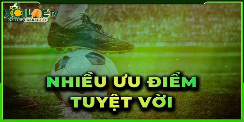 Cập nhật mọi thông tin về giải đấu cũng như động bóng một cách chính xác nhất
