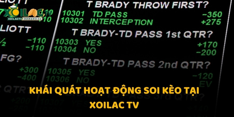 Khái quát hoạt động soi kèo tại Xoilac TV