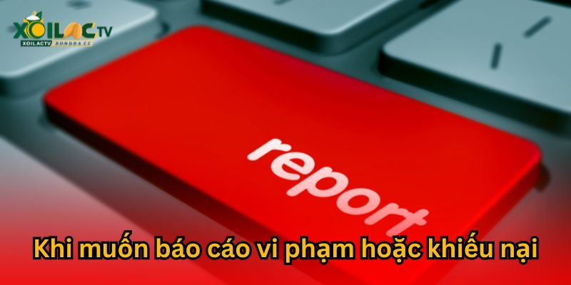 Báo cáo về các trường hợp vi phạm hoặc khiếu nại