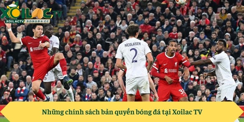 Những chính sách bản quyền bóng đá tại Xoilac TV